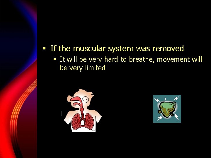 § If the muscular system was removed § It will be very hard to