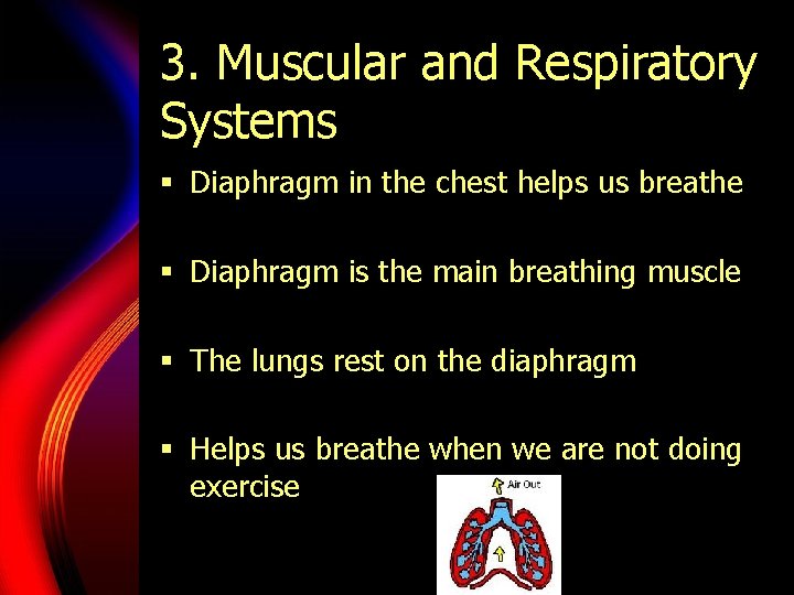 3. Muscular and Respiratory Systems § Diaphragm in the chest helps us breathe §