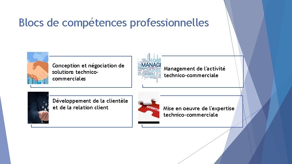 Blocs de compétences professionnelles Conception et négociation de solutions technicocommerciales Développement de la clientèle
