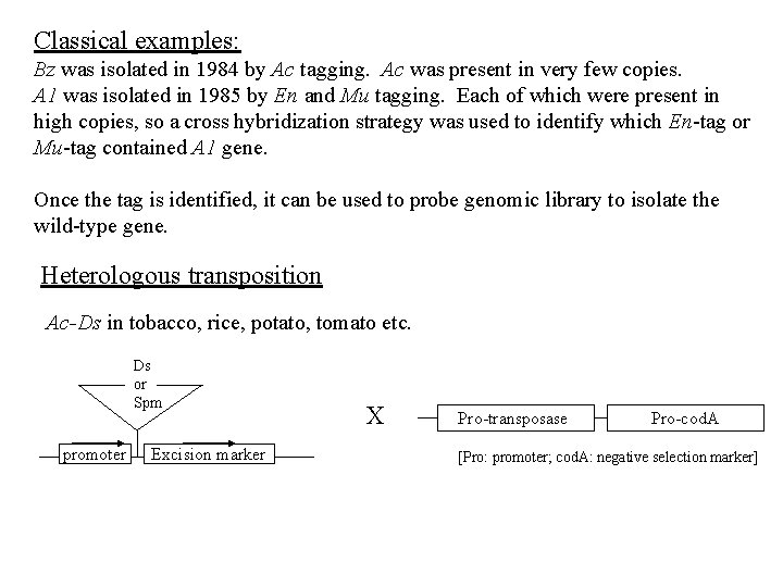 Classical examples: Bz was isolated in 1984 by Ac tagging. Ac was present in
