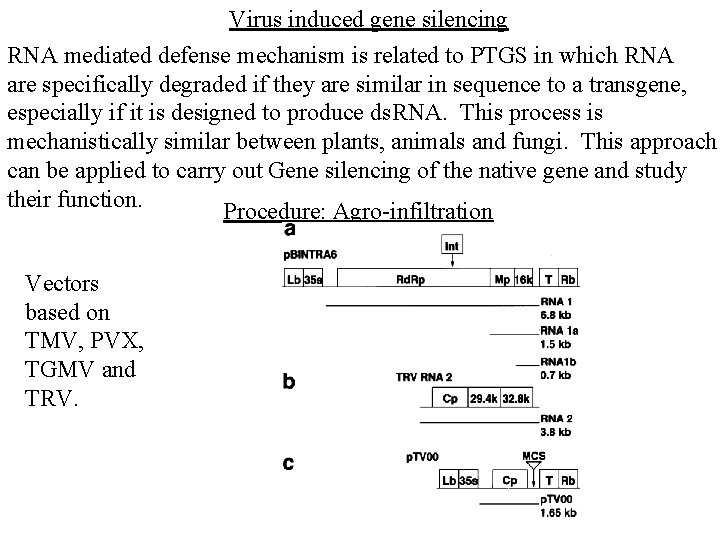 Virus induced gene silencing RNA mediated defense mechanism is related to PTGS in which