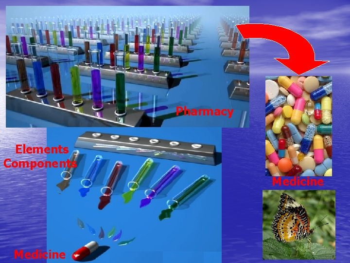 Pharmacy Elements Components Medicine 