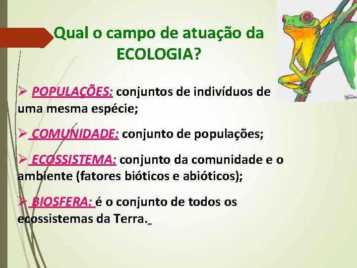 Qual o campo de atuação da ECOLOGIA? Ø POPULAÇÕES: conjuntos de indivíduos de uma