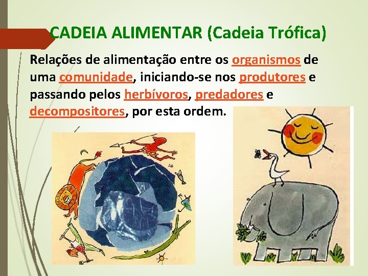 CADEIA ALIMENTAR (Cadeia Trófica) Relações de alimentação entre os organismos de uma comunidade, iniciando-se