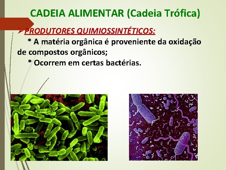 CADEIA ALIMENTAR (Cadeia Trófica) ØPRODUTORES QUIMIOSSINTÉTICOS: * A matéria orgânica é proveniente da oxidação