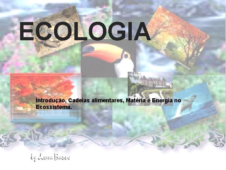 ECOLOGIA Introdução, Cadeias alimentares, Matéria e Energia no Ecossistema. 