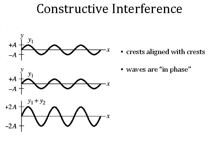 Constructive Interference • crests aligned with crests • waves are “in phase” 