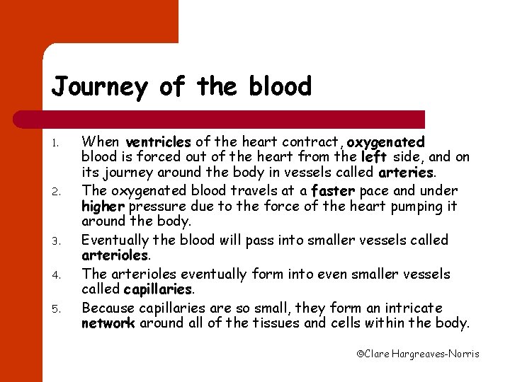 Journey of the blood 1. 2. 3. 4. 5. When ventricles of the heart