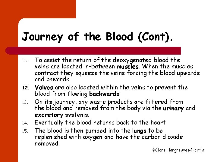 Journey of the Blood (Cont). 11. 12. 13. 14. 15. To assist the return