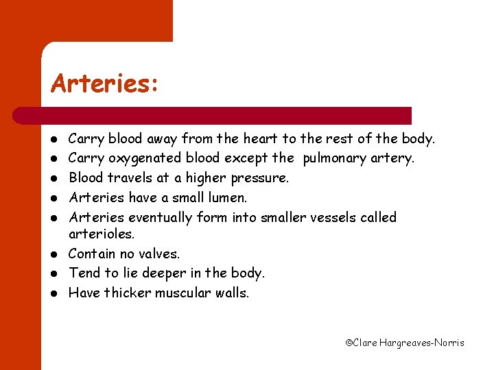 Arteries: l l l l Carry blood away from the heart to the rest