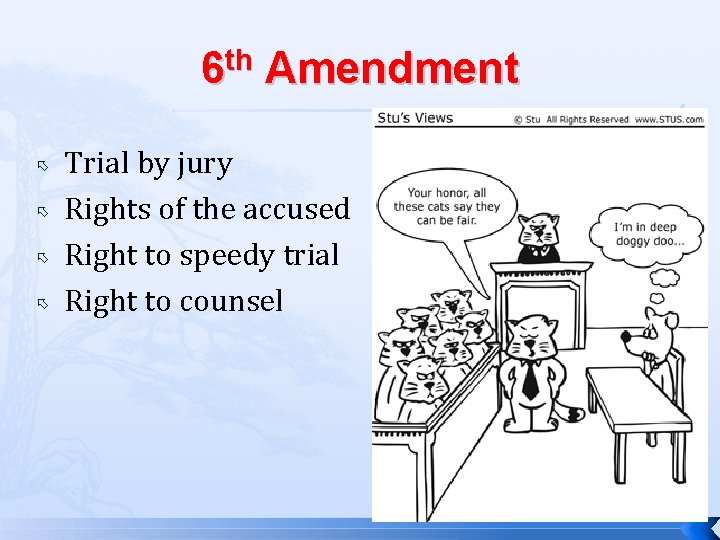 6 th Amendment Trial by jury Rights of the accused Right to speedy trial
