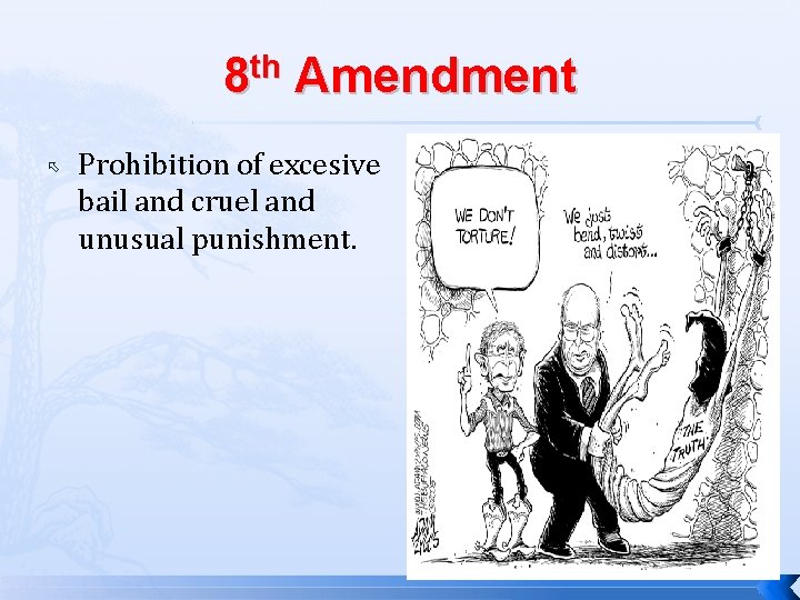 8 th Amendment Prohibition of excesive bail and cruel and unusual punishment. 