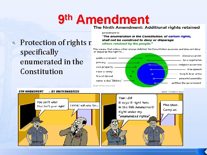 9 th Amendment Protection of rights not specifically enumerated in the Constitution 
