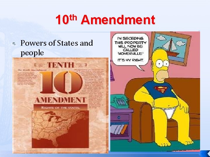 10 th Amendment Powers of States and people 