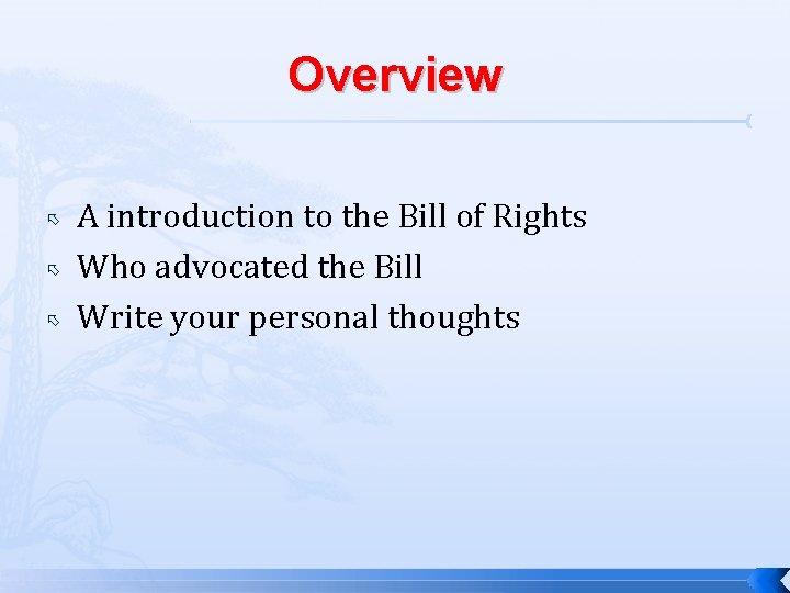 Overview A introduction to the Bill of Rights Who advocated the Bill Write your
