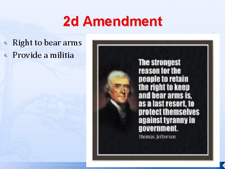 2 d Amendment Right to bear arms Provide a militia 
