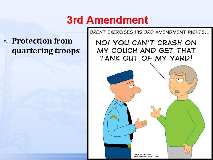 3 rd Amendment Protection from quartering troops 