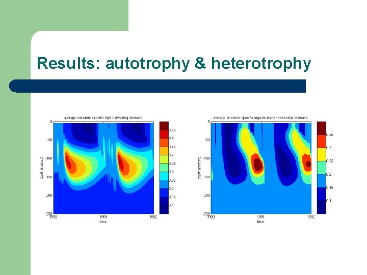 Results: autotrophy & heterotrophy 