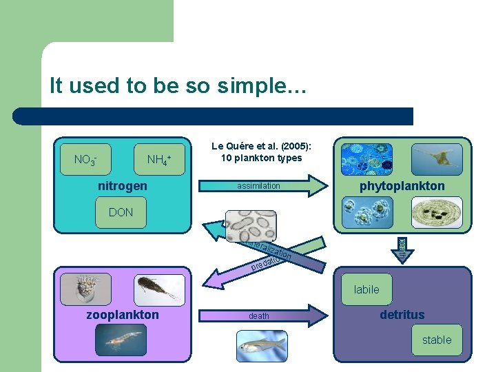 It used to be so simple… NO 3 - NH 4+ nitrogen Le Quére