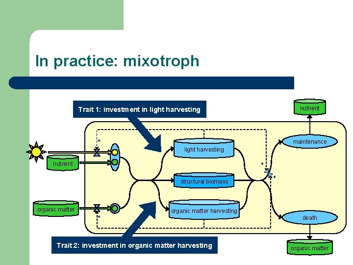In practice: mixotroph nutrient Trait 1: investment in light harvesting + maintenance light harvesting
