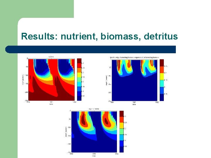 Results: nutrient, biomass, detritus 