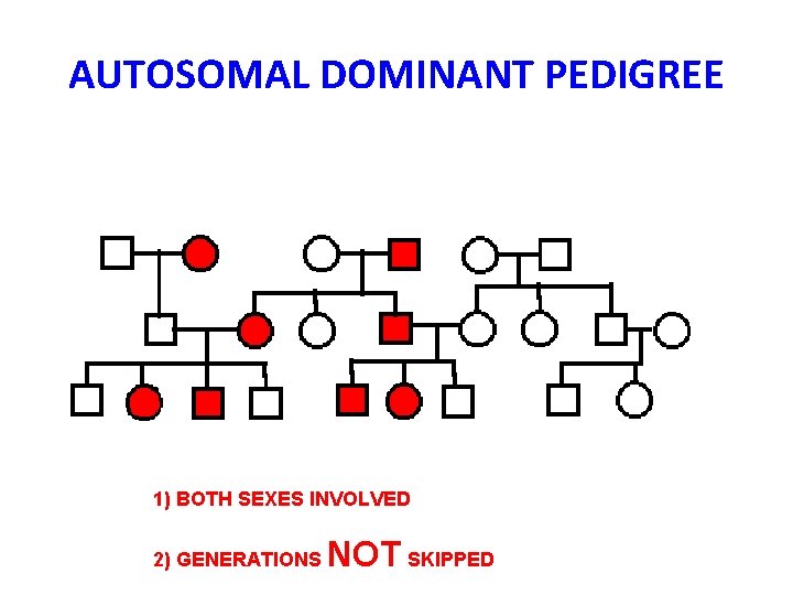 AUTOSOMAL DOMINANT PEDIGREE 1) BOTH SEXES INVOLVED 2) GENERATIONS NOT SKIPPED 