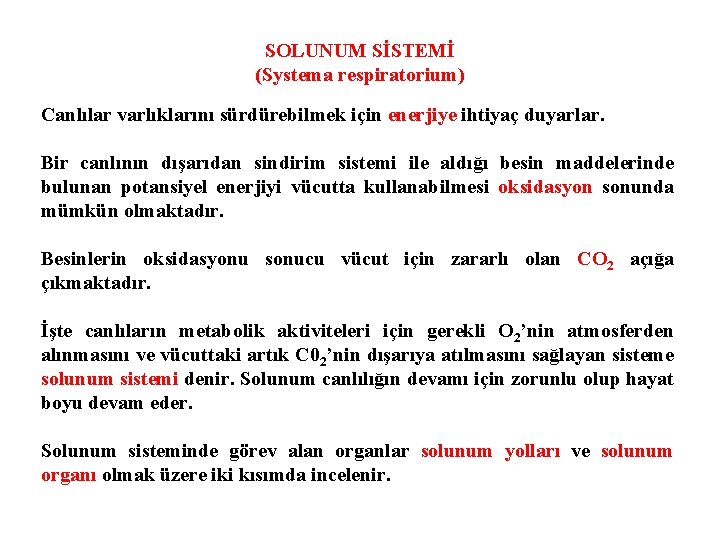 SOLUNUM SİSTEMİ (Systema respiratorium) Canlılar varlıklarını sürdürebilmek için enerjiye ihtiyaç duyarlar. Bir canlının dışarıdan