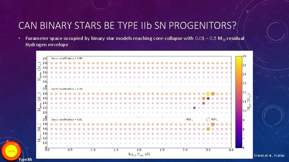 CAN BINARY STARS BE TYPE IIb SN PROGENITORS? • Parameter space occupied by binary