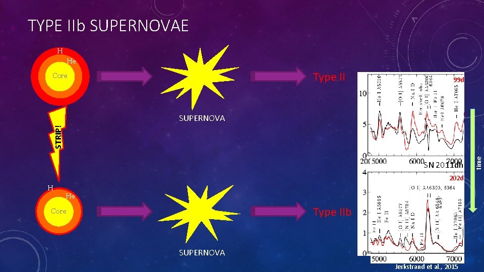 TYPE IIb SUPERNOVAE H He Type II Core 99 d SN 2011 dh 202