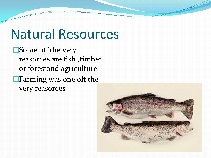 Natural Resources �Some off the very reasorces are fish , timber or forestand agriculture