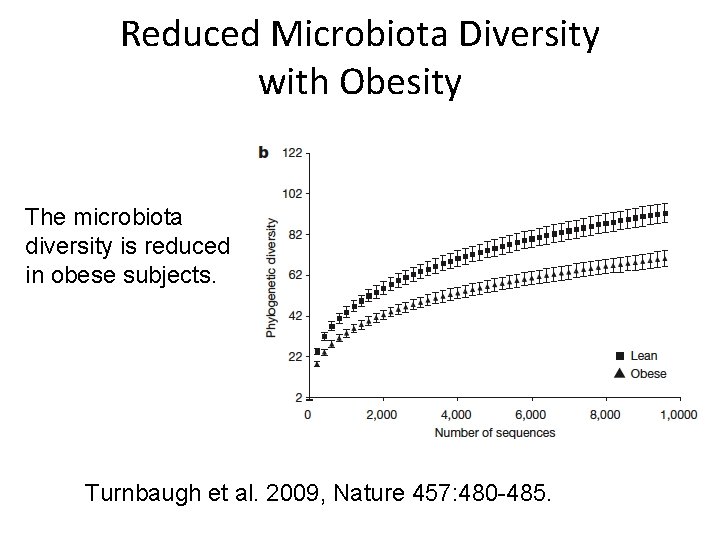 Reduced Microbiota Diversity with Obesity The microbiota diversity is reduced in obese subjects. Turnbaugh