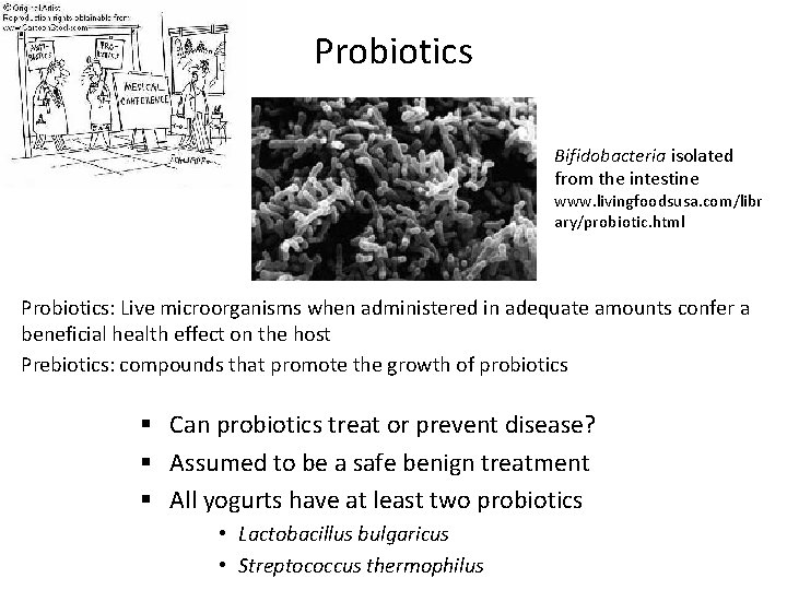 Probiotics Bifidobacteria isolated from the intestine www. livingfoodsusa. com/libr ary/probiotic. html Probiotics: Live microorganisms