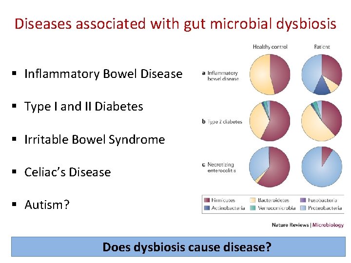 Diseases associated with gut microbial dysbiosis § Inflammatory Bowel Disease § Type I and