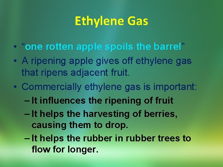 Ethylene Gas • “one rotten apple spoils the barrel” barrel • A ripening apple