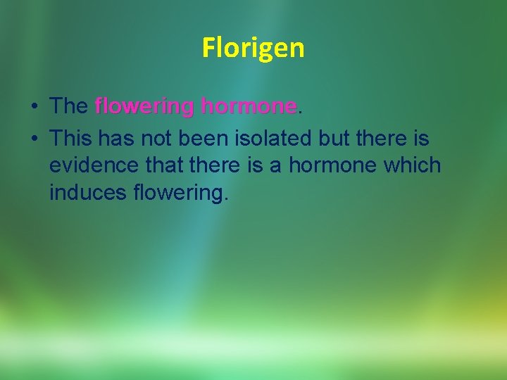 Florigen • The flowering hormone • This has not been isolated but there is