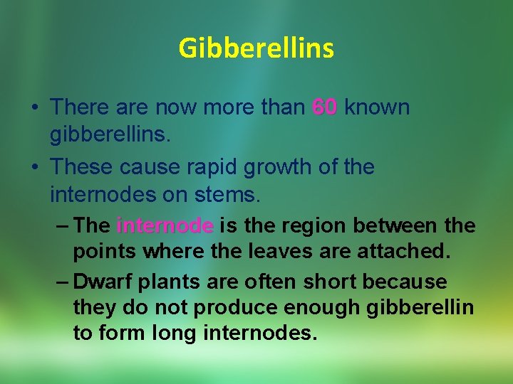 Gibberellins • There are now more than 60 known gibberellins. • These cause rapid