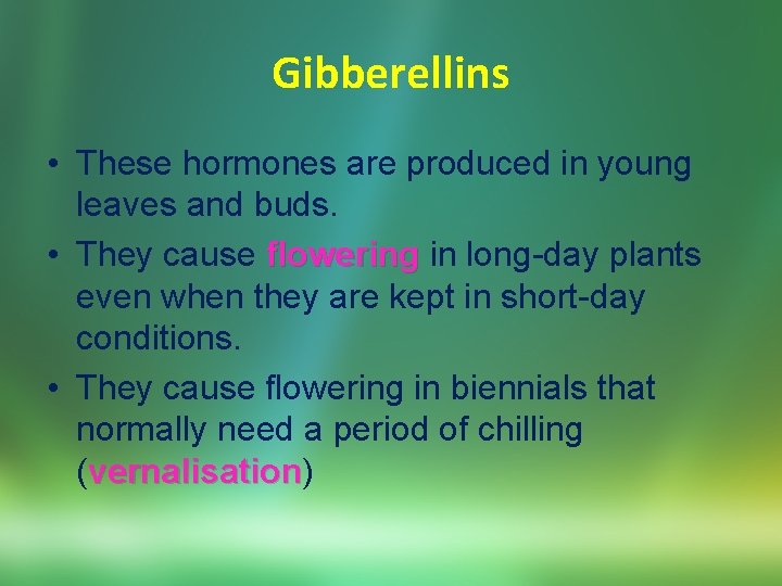 Gibberellins • These hormones are produced in young leaves and buds. • They cause