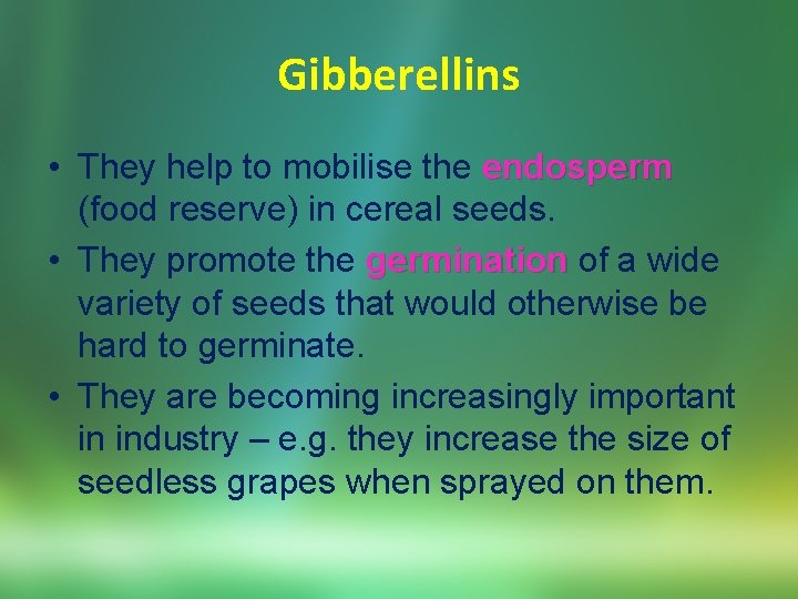 Gibberellins • They help to mobilise the endosperm (food reserve) in cereal seeds. •