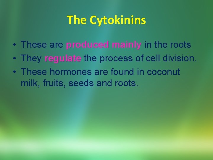 The Cytokinins • These are produced mainly in the roots • They regulate the