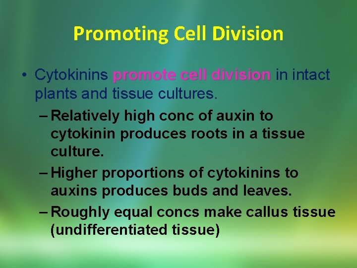 Promoting Cell Division • Cytokinins promote cell division in intact plants and tissue cultures.