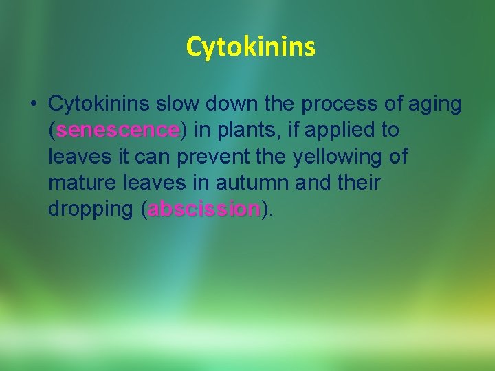 Cytokinins • Cytokinins slow down the process of aging (senescence) senescence in plants, if