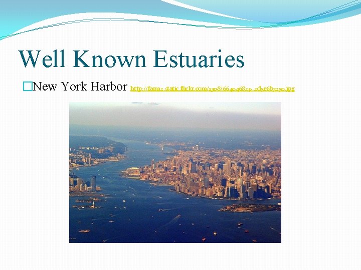 Well Known Estuaries �New York Harbor http: //farm 2. static. flickr. com/1308/664046829_2 d 5