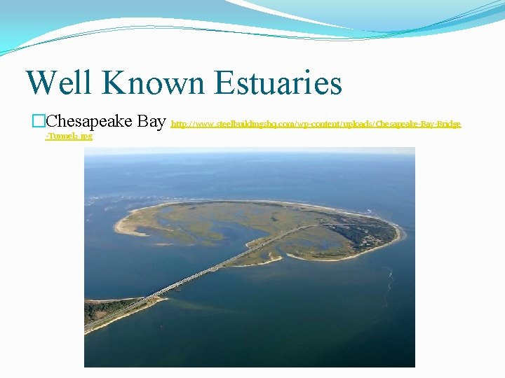 Well Known Estuaries �Chesapeake Bay http: //www. steelbuildingshq. com/wp-content/uploads/Chesapeake-Bay-Bridge -Tunnel 2. jpg 