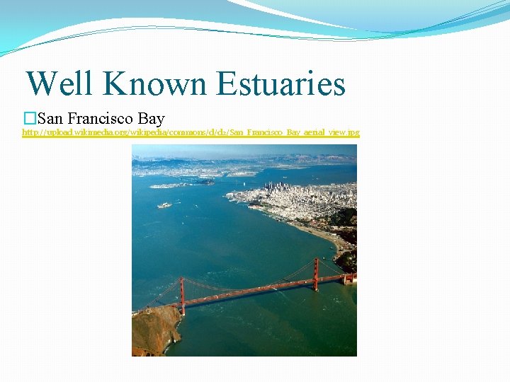 Well Known Estuaries �San Francisco Bay http: //upload. wikimedia. org/wikipedia/commons/d/d 2/San_Francisco_Bay_aerial_view. jpg 