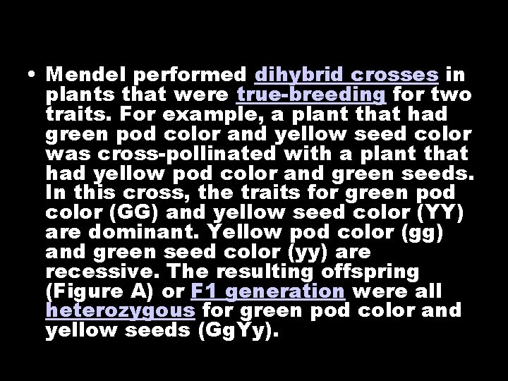  • Mendel performed dihybrid crosses in plants that were true-breeding for two traits.