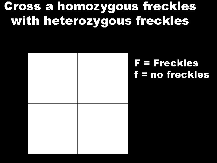 Cross a homozygous freckles with heterozygous freckles F = Freckles f = no freckles