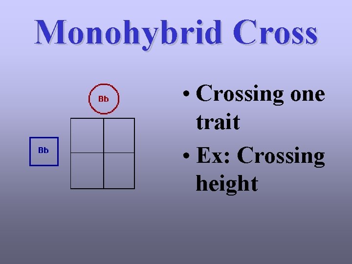 Monohybrid Cross • Crossing one trait • Ex: Crossing height 