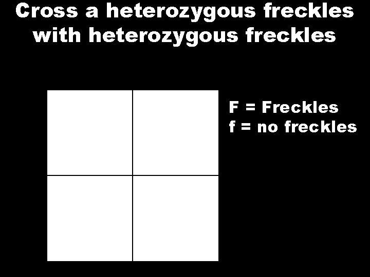 Cross a heterozygous freckles with heterozygous freckles F = Freckles f = no freckles