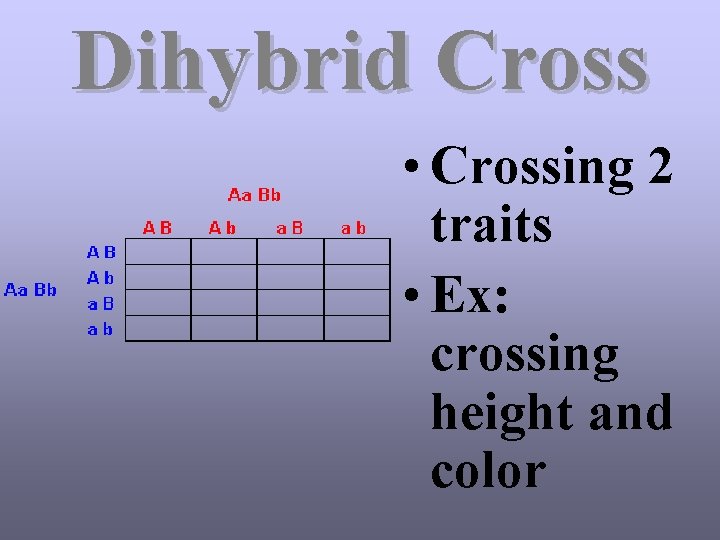 Dihybrid Cross • Crossing 2 traits • Ex: crossing height and color 