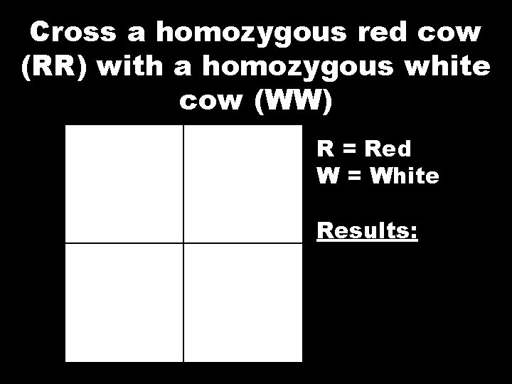 Cross a homozygous red cow (RR) with a homozygous white cow (WW) R =